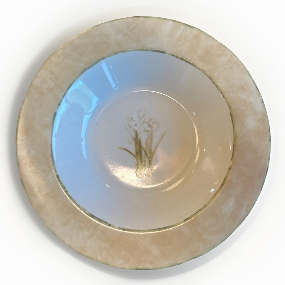 222 Fifth Narcissus Rimmed Stoneware Bowls 9" by Cheri‎ Blum Set Of 2